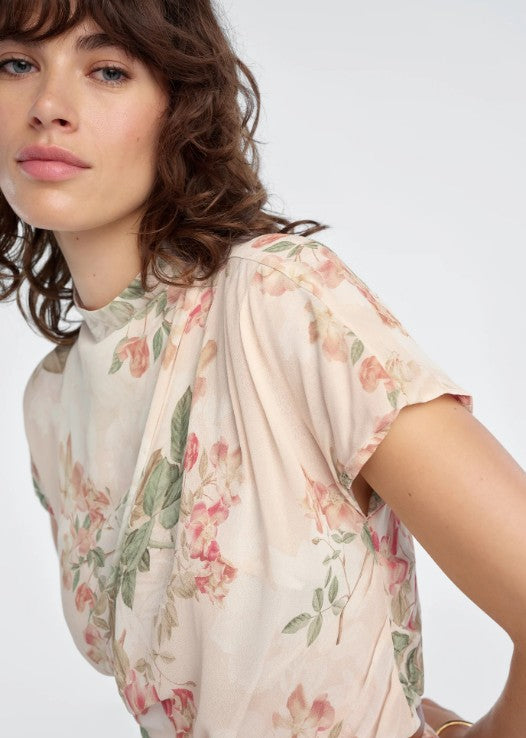 The Graceful Top